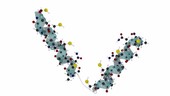 Protein sulphur bond formation, animation