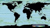 Global ocean vortices, animation