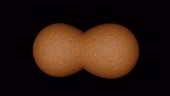 Cell division, animation