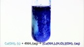 Ammonia added to copper II hydroxide