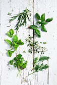 Rosemary, basil, parsley, mint, thyme and dill on a white wooden surface