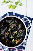 Mussels in a herb broth