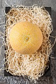 A yellow cantaloupe melon on straw (seen from above)