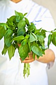 A female chef holding a bunch of fresh basil