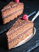 Stück mehlloser glutenfreier Schokoladenkuchen mit Himbeere