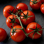 Fresh vine-ripened tomatoes