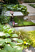 Klare Linie im Garten mit Brunnen im asiatischen Stil