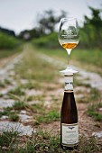 A 2001 Riesling ice wine from the Domäne wine estate on the Bergstrasse in Heppenheim in the Hessische Bergstrasse wine region of Germany
