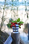 Sprigs with right raspberries in a maritime porcelain container on a fence post