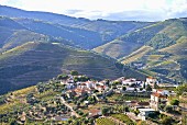 The Douro Valley in Vale de Mendiz, Portugal