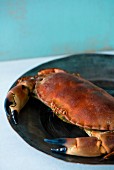 A crab on a tin plate