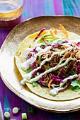 Tortilla with pulled pork, vegetables and sour cream