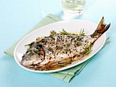 Pan-fried gilt-head bream with garlic and rosemary