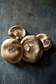 Shiitake mushrooms on a grey slate surface
