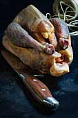 Raw guinea fowl with knife and kitchen string