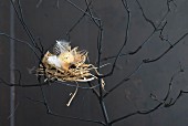 Easter arrangement of bird's nest and black branches against black wall