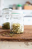 Fresh sprouts in a glass jar