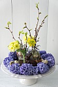 Easter arrangement of hyacinths, primulas and twigs on cake stand