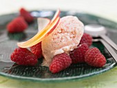 Yoghurt and nectarine ice cream with fresh raspberries