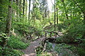 Waldweg mit einer Holzbrücke über einen Bach