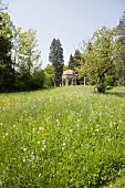 Sommerwiese mit Pusteblumen und einem Pavillion am Waldrand
