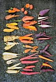Assorted varieties of old and new organic carrots (seen from above)