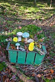 Wooden toadstools, slice of tree trunk and moss in metal basket in woods