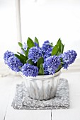 Blue hyacinths in silver jelly mould
