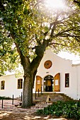 Sunlight falling through branches of tree in front of Cape Dutch house