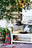 Ficus im Kübel und Gartenbank mit Kissen vor einem Schaufenster