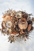 Arrangement of dried flowers, poppy seed heads and acorns