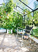 Gartenstuhl auf Ziegelboden in Gewächshaus mit verschiedenen Gemüsepflanzen