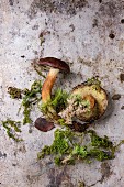 Porcini mushrooms with roots and moss on a vintage metal surface