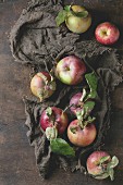 Äpfel mit Blättern auf rustikalem, braunem Leinentuch