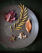 Autumn leaves and hydrangea florets on a plate