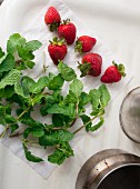 Freshly washed strawberries and mint sprigs on kitchen roll