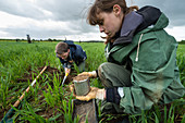 Carbon sequestration soil research