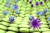 Viruses infecting cells,illustration