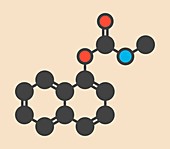 Carbaryl insecticide molecule