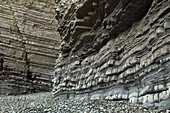 Cliffs of Aberystwyth Grits,Wales