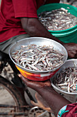 Fish seller,Zanzibar