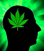 Effects of cannabis,conceptual image