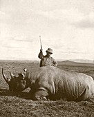 Theodore Roosevelt with rhino,1909