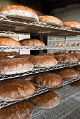 Assorted loaves of bread on metal shelves in a bakery