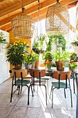 Flowering potted plants and retro chairs in summer house with open sides and closed side