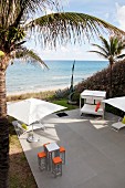 Various loungers below palm trees on modern terrace