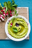 Roasted courgette hummus with radish