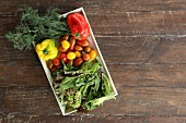 Vegetables and salad on a wooden tray and wooden background (seen from above)