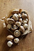 Frische Champignons in Papiertüte