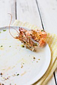 A prawn shell on a plate